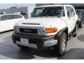 2010 FJ Cruiser #3 2010 FJ Cruiser #3