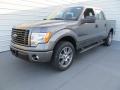 Front 3/4 View of 2014 Ford F150 STX SuperCrew #7