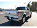 2014 F150 Platinum SuperCrew 4x4 #5