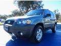 2007 Escape XLT #1