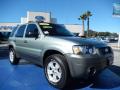 2007 Escape XLT #6