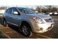 2013 Rogue S Special Edition AWD #3