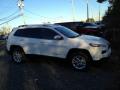 2014 Cherokee Latitude 4x4 #5 2014 Cherokee Latitude 4x4 #5