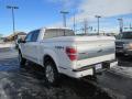 2012 F150 Platinum SuperCrew 4x4 #3