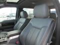 2012 F150 Platinum SuperCrew 4x4 #7