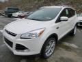 2014 Escape Titanium 1.6L EcoBoost 4WD #5