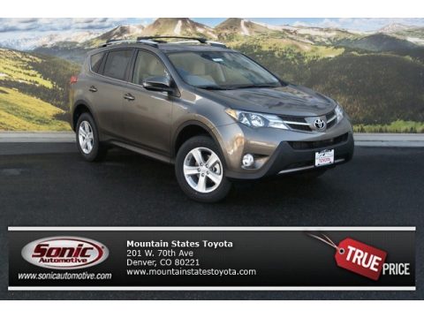 Pyrite Mica Toyota RAV4 XLE AWD.  Click to enlarge.