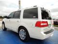 2012 Navigator 4x2 #3