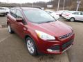 2014 Escape SE 1.6L EcoBoost 4WD #2