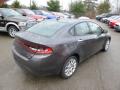2014 Dart Limited #6 2014 Dart Limited #6