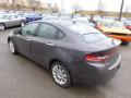 2014 Dart Limited #8 2014 Dart Limited #8