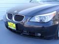 2005 5 Series 545i Sedan #12