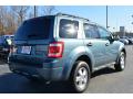 2010 Escape XLT #4 2010 Escape XLT #4