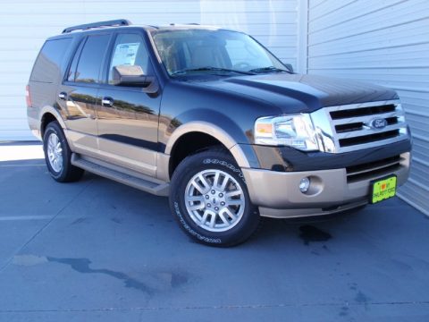 Tuxedo Black Ford Expedition XLT.  Click to enlarge.