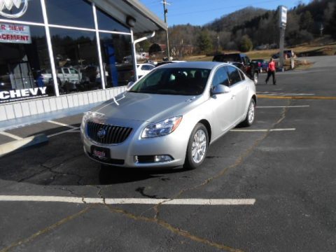 Quicksilver Metallic Buick Regal .  Click to enlarge.