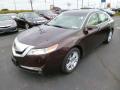 Front 3/4 View of 2010 Acura TL 3.5 #3