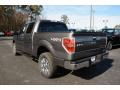 2014 F150 XLT SuperCrew 4x4 #8