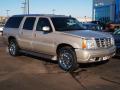 2006 Escalade ESV AWD Platinum #2 2006 Escalade ESV AWD Platinum #2