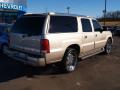 2006 Escalade ESV AWD Platinum #3 2006 Escalade ESV AWD Platinum #3