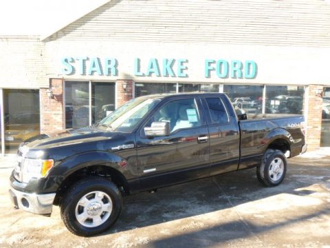 Tuxedo Black Metallic Ford F150 XLT SuperCab 4x4. Click to enlarge. Tuxedo Black Metallic Ford F150 XLT SuperCab 4x4. Click to enlarge.