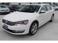 2014 Passat TDI SE #3 2014 Passat TDI SE #3