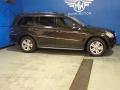 2008 GL 450 4Matic #3
