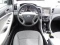 2011 Sonata SE #6 2011 Sonata SE #6