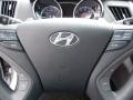 2011 Sonata SE #22 2011 Sonata SE #22