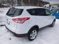 2014 Escape SE 1.6L EcoBoost 4WD #8