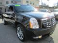 2011 Escalade ESV Premium AWD #8 2011 Escalade ESV Premium AWD #8