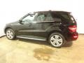2010 ML 350 4Matic #12
