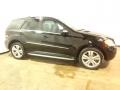 2010 ML 350 4Matic #17