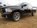 2014 1500 Express Crew Cab #2