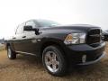 2014 1500 Express Crew Cab #5