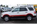 2008 Escape XLT V6 #6