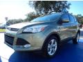 2013 Escape SE 2.0L EcoBoost #1