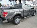 2014 F150 XLT SuperCrew 4x4 #7