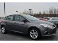 2013 Focus SE Hatchback #1