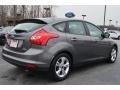 2013 Focus SE Hatchback #4