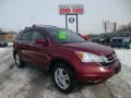 2010 CR-V EX-L AWD #1