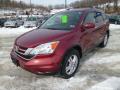 2010 CR-V EX-L AWD #3