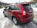 2010 CR-V EX-L AWD #5