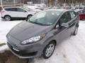 2014 Fiesta SE Sedan #4
