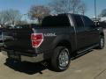 2013 F150 XLT SuperCrew 4x4 #6