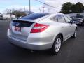 2010 Accord Crosstour EX-L #6