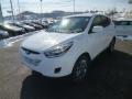2014 Tucson GLS #3