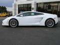 2009 Gallardo LP560-4 Coupe #11