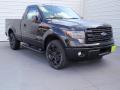2014 F150 FX2 Tremor Regular Cab #2