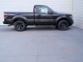  2014 Ford F150 Tuxedo Black #3