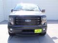 2014 F150 FX2 Tremor Regular Cab #8